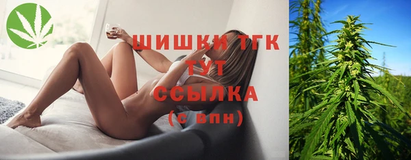 стаф Липки