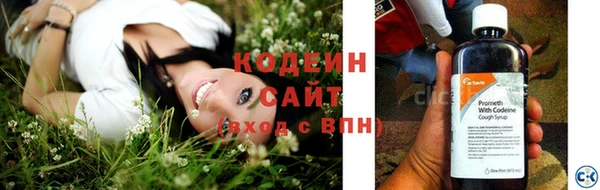 стаф Липки
