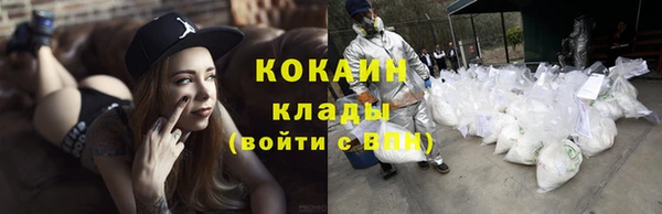 стаф Липки