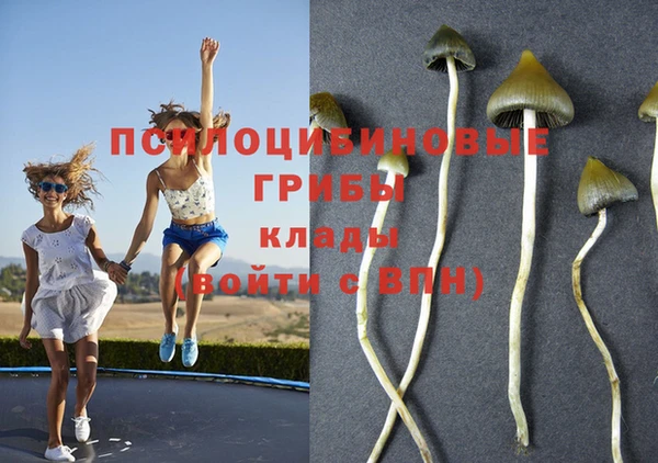 соль курить ск Новый Уренгой