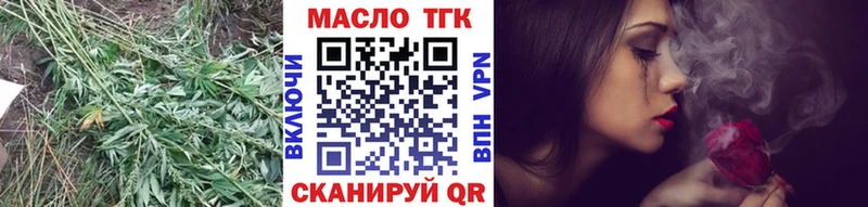 закладка  блэк спрут ONION  ТГК THC oil  Чегем 