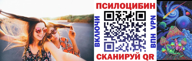 Галлюциногенные грибы Psilocybe Чегем